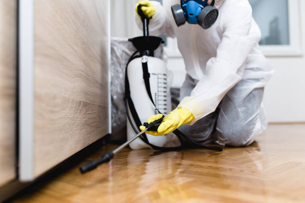 Best Rat Extermination Near Me  in Apollo, PA