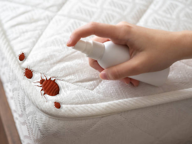 Best Best Pest Control Companies  in Apollo, PA