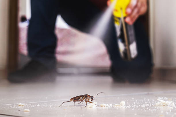 Best Pest Prevention Services  in Apollo, PA